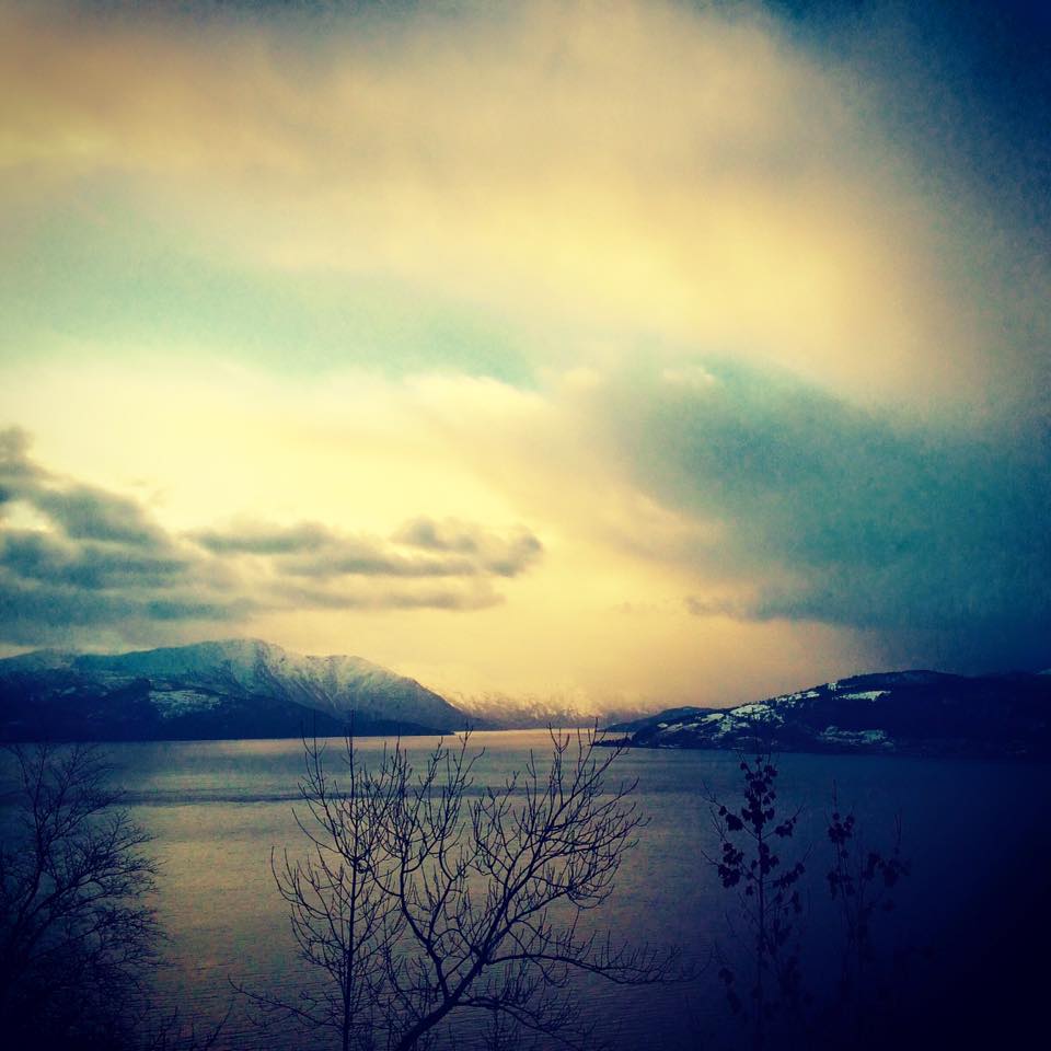 utsikt hardangerfjorden