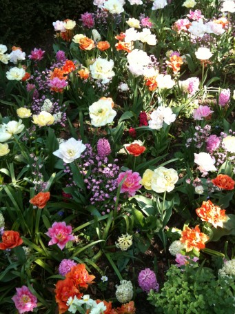 Blomster