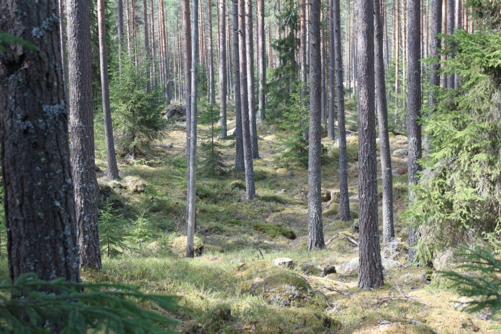 Løten