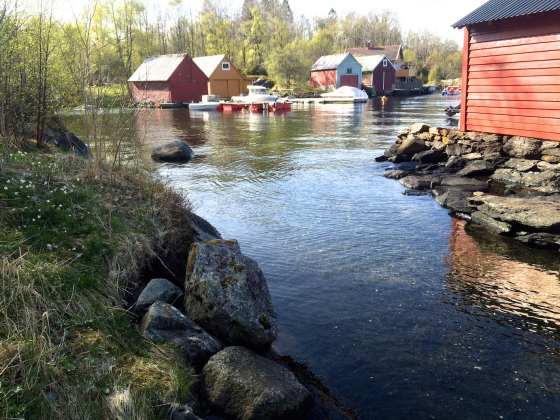Hopsvika mot Grimstad-siden (Foto: May Lis Ruus)