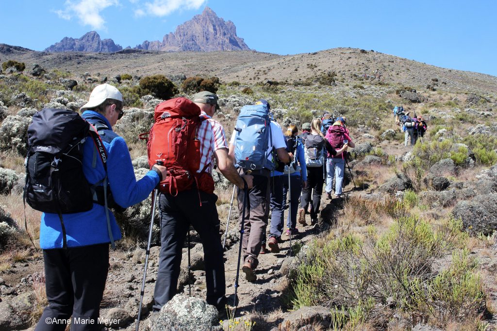 På vei opp Kilimanjaro