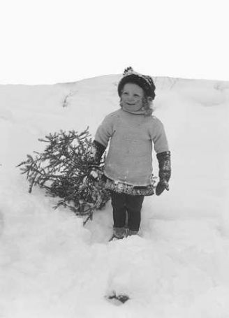 Ut og finne juletre, 1909. Foto: A.B. Wilse, Nasjonalbiblioteket